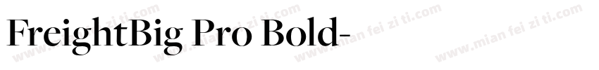 FreightBig Pro Bold字体转换